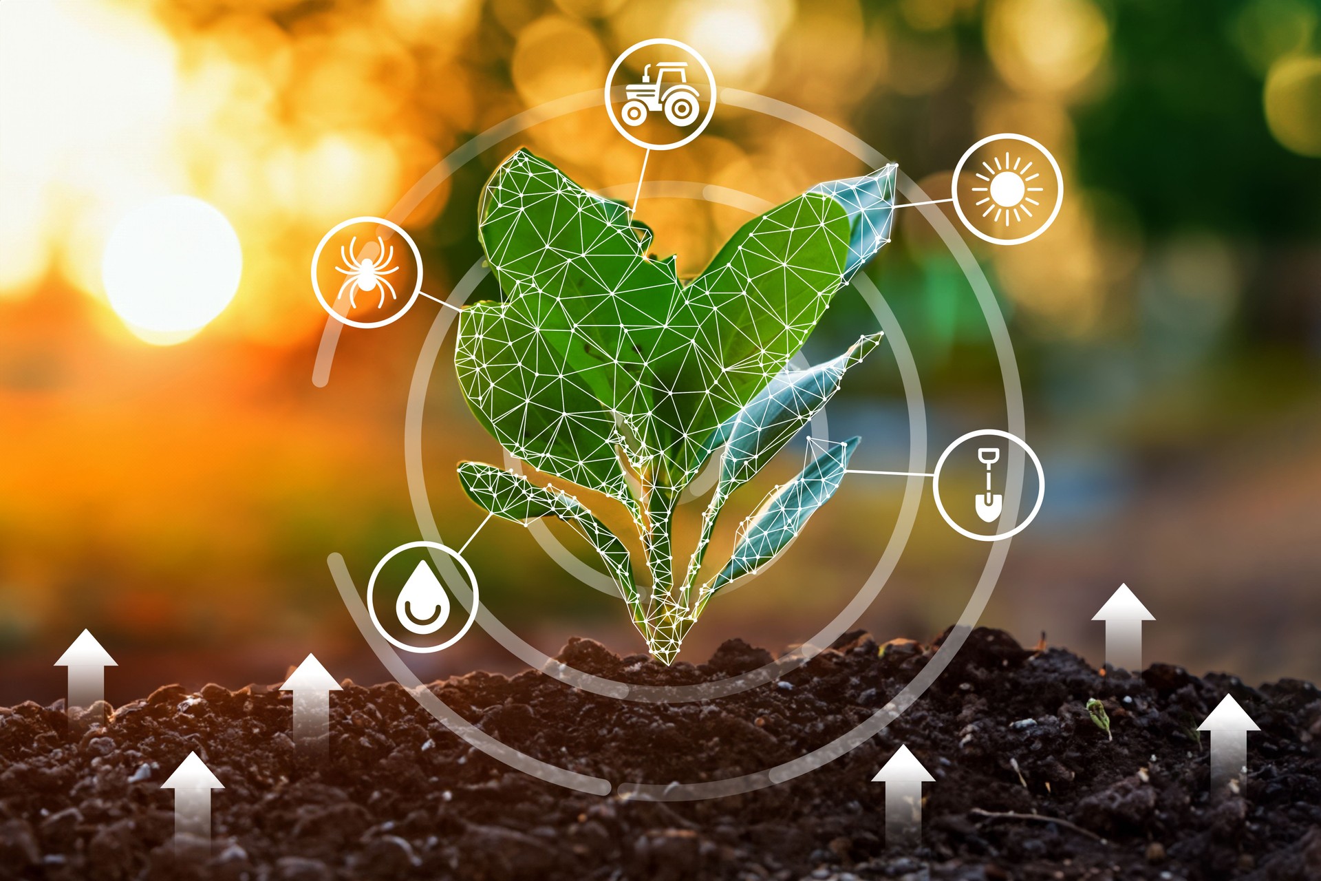 Plant Growing Out of the Ground with Icons. Plant Growing Out of the Ground with Icons.